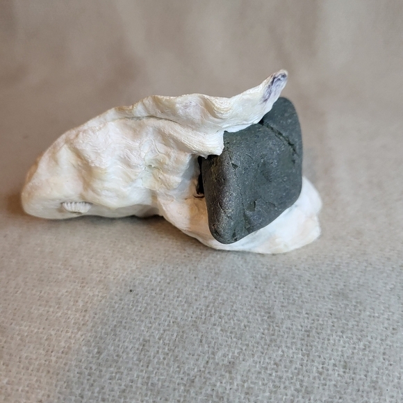 Fairy Garden in Oyster Shell - Picture 7 of 7